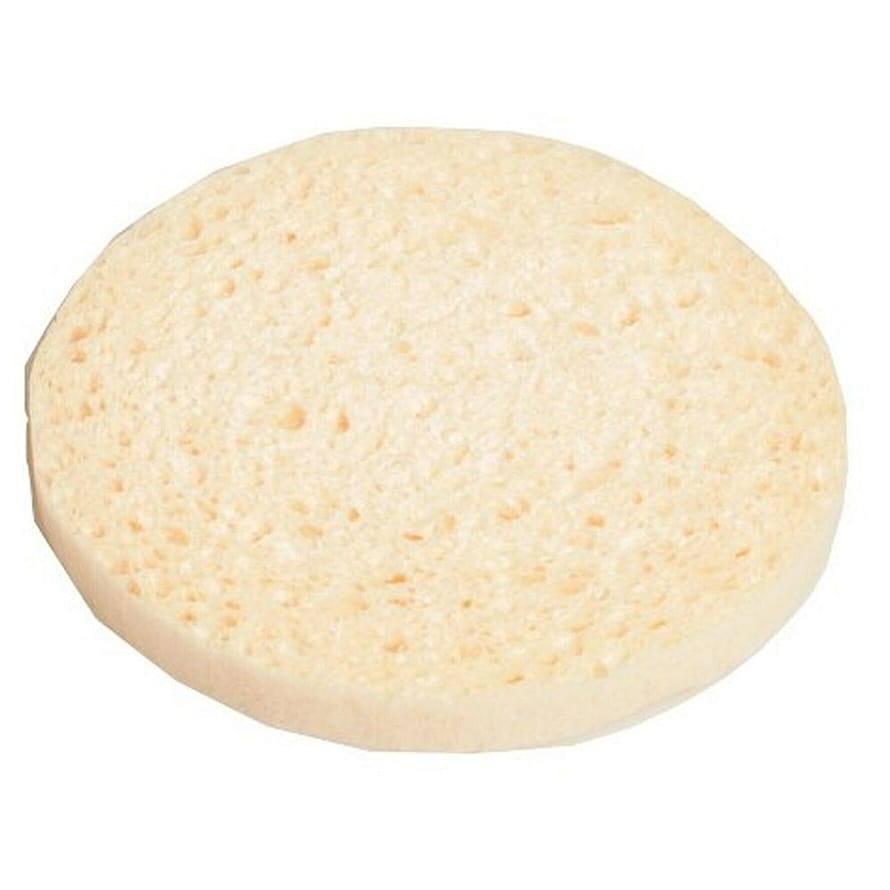 Sponge Cellulose